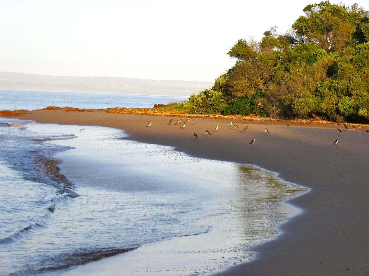 Eerie Expeditions: Uncovering Ghost Tales at Phillip Island's Heritage Sites