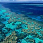 The Best Places for Snorkeling in the Great Barrier Reef