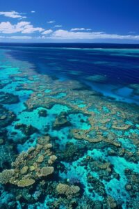 The Best Places for Snorkeling in the Great Barrier Reef