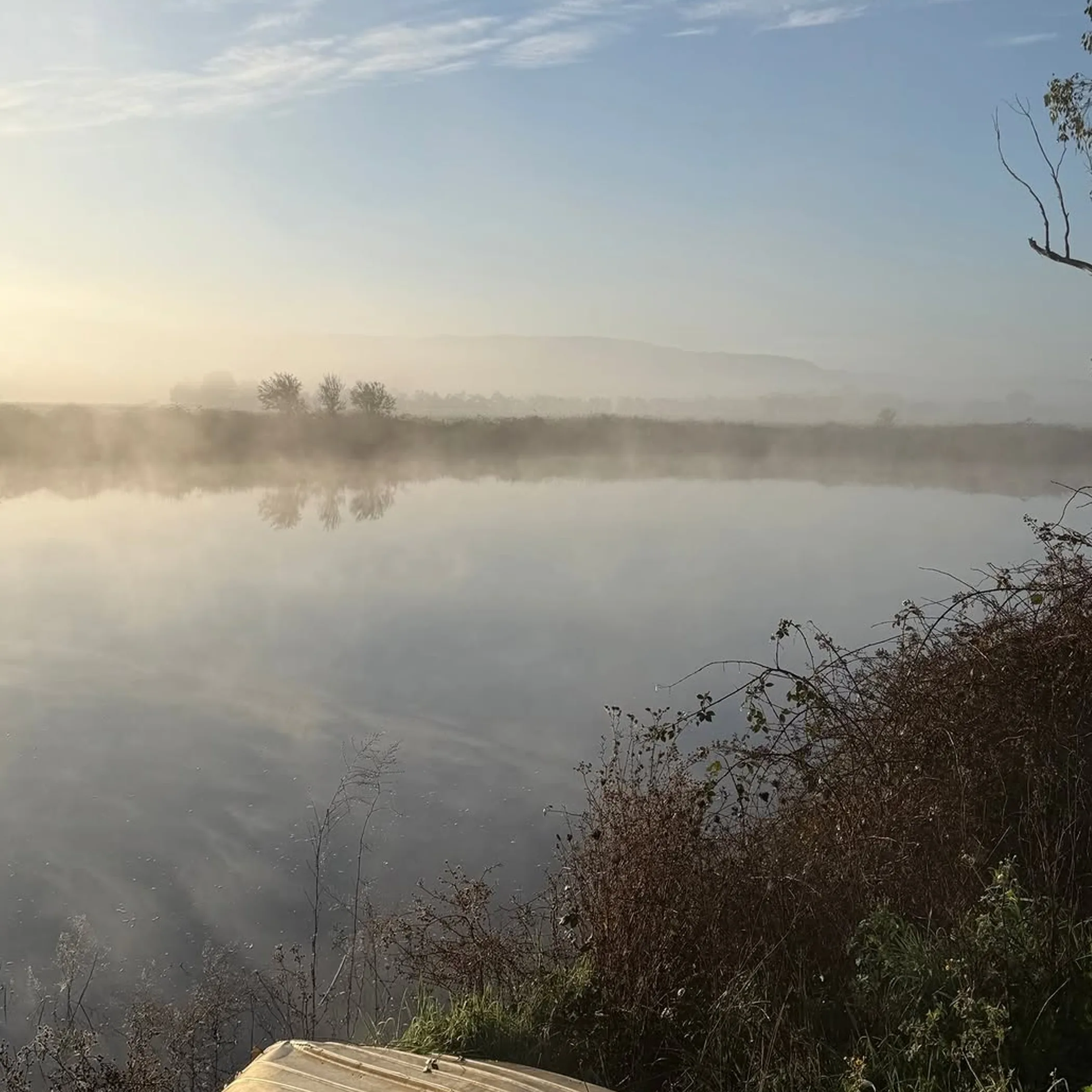 misty dam beside vineyard estate
