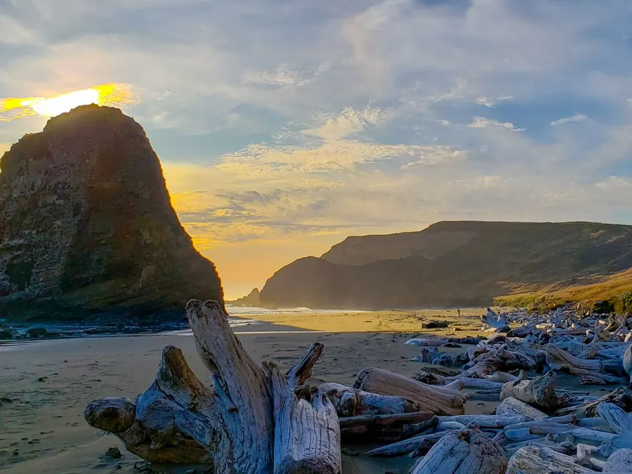 Oregon Coast Travel, Stargazing & Eclipse Tourism — detail