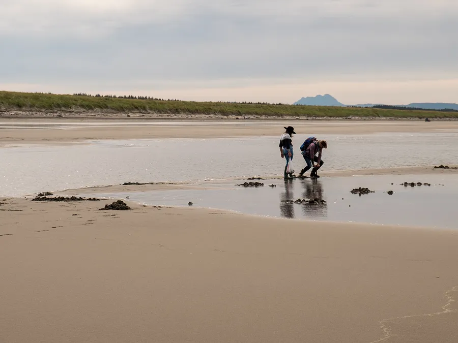 Choosing in Oregon Coast Travel, Stargazing & Eclipse Tourism